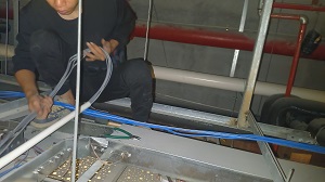 IMG_20231209_113310.jpg